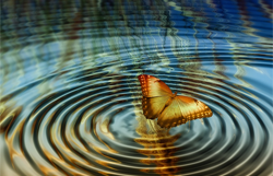 Wasserkreise mit Schmetterling